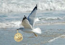 Seabird's golden sand dollar beach treasure.