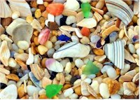 Colorful mixture of shell pieces and seaglass.